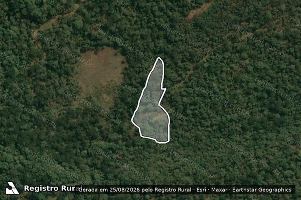 Imagem de satélite de Infração Ambiental em Inácio Martins - PR