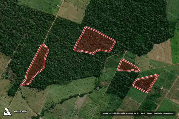 Imagem de satélite de Infração da Flora em Porto Velho - RO