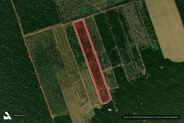 Imagem de satélite de Infração da Flora em União do Sul - MT