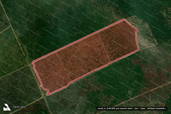 Imagem de satélite — Embargo IBAMA — Infração da Flora - Porto Velho/RO
