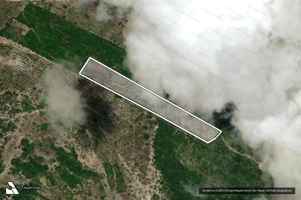 Imagem de satélite de Infração da Flora em Pacatuba - SE