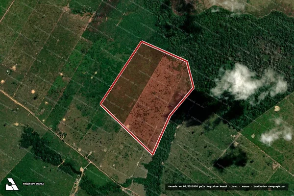 Imagem de satélite — Embargo IBAMA — Infração Ambiental - Porto Velho/RO
