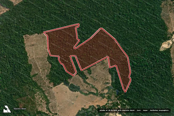 Imagem de satélite de Infração da Flora em Apiacás - MT