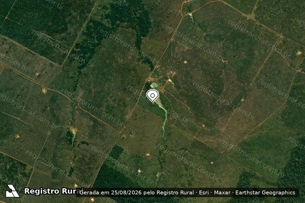 Imagem de satélite de Infração da Flora em Lábrea - AM (marcador da localização)