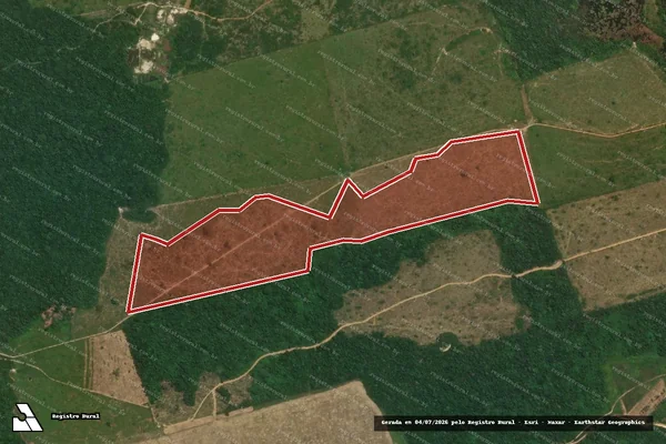 Imagem de satélite de Infração da Flora em Novo Progresso - PA