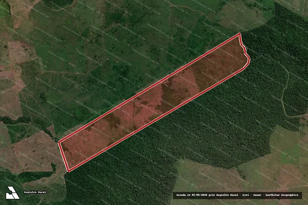 Imagem de satélite de Infração da Flora em São Félix do Xingu - PA