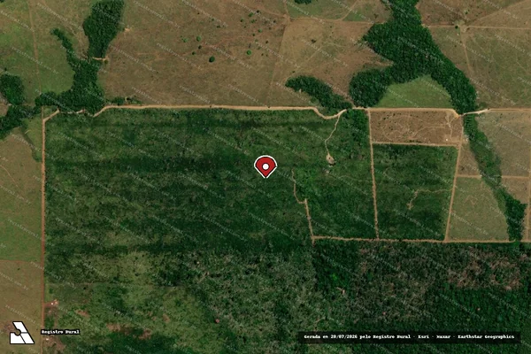 Imagem de satélite de Infração Ambiental em Colniza - MT (marcador da localização)