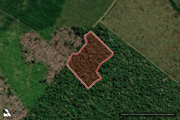 Imagem de satélite de Infração da Flora em Apuí - AM