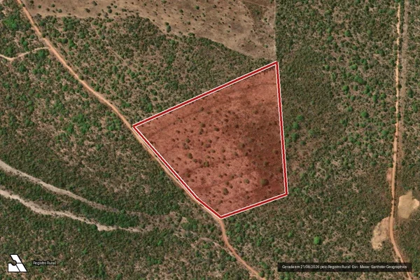 Imagem de satélite — Embargo IBAMA — Infração da Flora - Taguatinga/TO