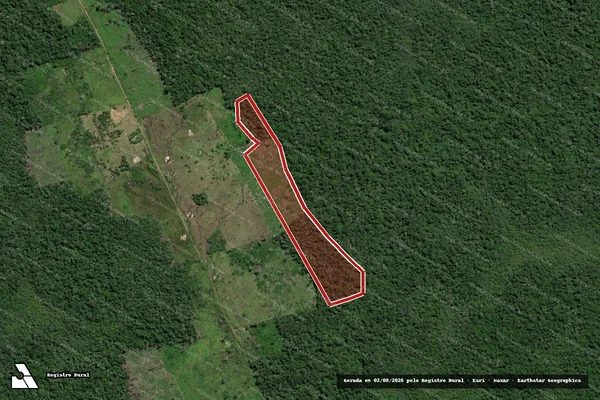 Imagem de satélite de Infração da Flora em Caracaraí - RR