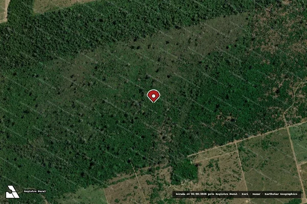 Imagem de satélite de Infração da Flora em Novo Progresso - PA (marcador da localização)