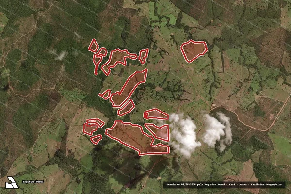 Imagem de satélite de Infração da Flora em Pindorama do Tocantins - TO