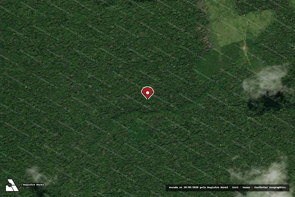 Imagem de satélite de Infração da Flora em Anapu - PA (marcador da localização)