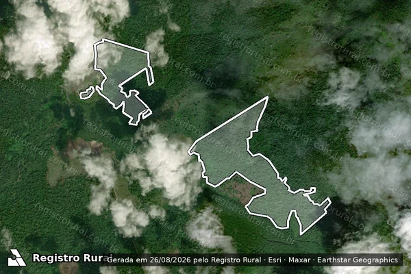 Imagem de satélite de Infração da Flora em Portel - PA
