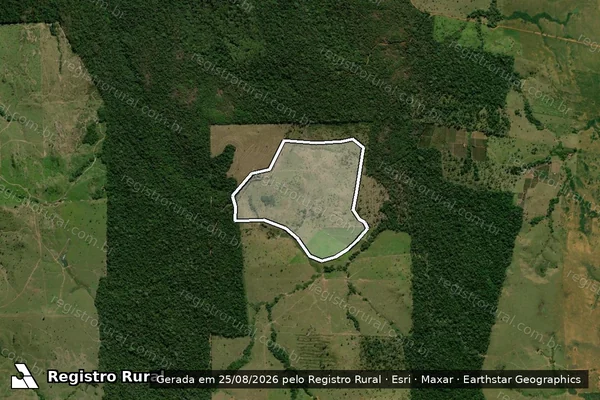Imagem de satélite — Embargo IBAMA — Infração Ambiental - Alta Floresta D'Oeste/RO