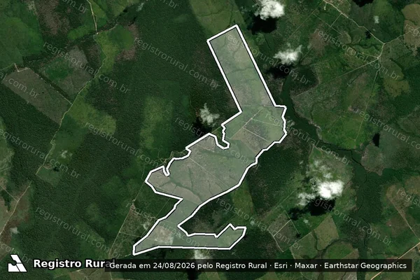 Imagem de satélite de Infração Ambiental em Apuí - AM