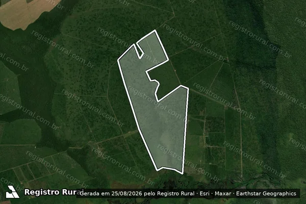 Imagem de satélite — Embargo Ambiental — Marcelândia/MT