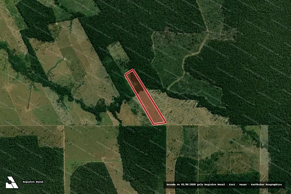 Imagem de satélite — Embargo IBAMA — Desmatamento - Costa Marques/RO
