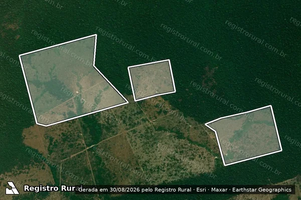Imagem de satélite de Infração da Flora em Altamira - PA