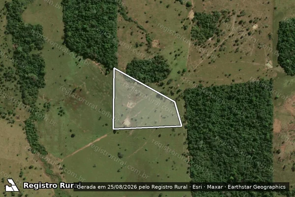 Imagem de satélite de Infração Ambiental em Primavera de Rondônia - RO
