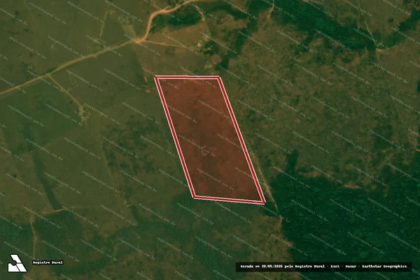 Imagem de satélite de Desmatamento em Porto Velho - RO
