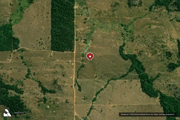 Imagem de satélite de Infração da Flora em Campo Novo de Rondônia - RO (marcador da localização)