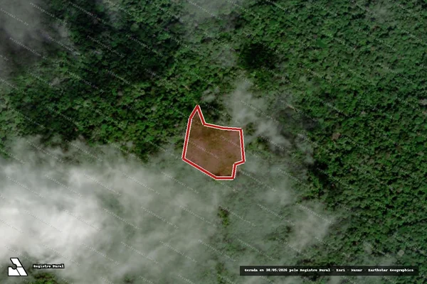 Imagem de satélite de Infração da Flora em Anapu - PA