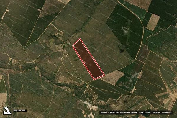 Imagem de satélite de Infração da Flora em São João do Paraíso - MG