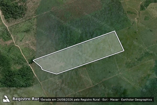 Imagem de satélite de Infração da Flora em Novo Progresso - PA