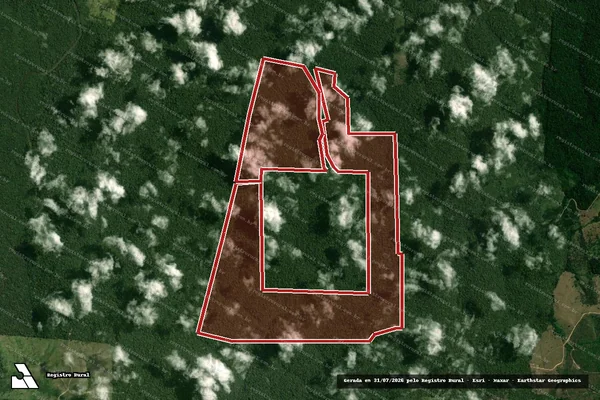 Imagem de satélite de Infração da Flora em Portel - PA