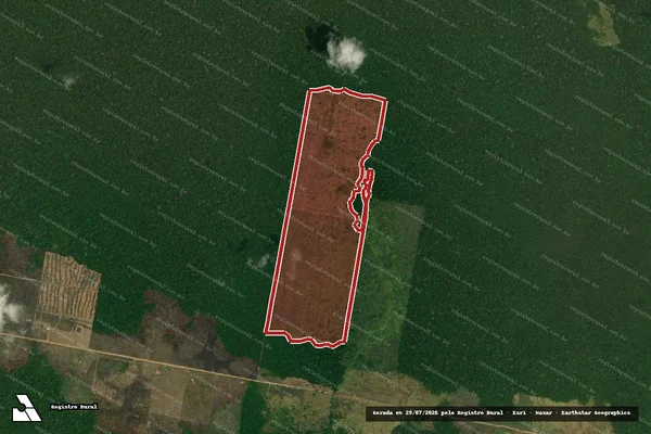 Imagem de satélite de Infração da Flora em Canutama - AM