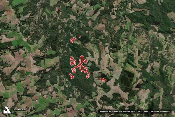 Imagem de satélite de Infração da Flora em Antônio Olinto - PR
