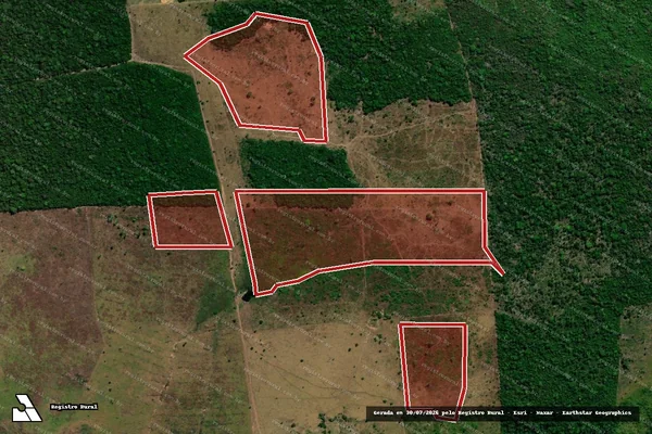 Imagem de satélite de Infração da Flora em Aripuanã - MT