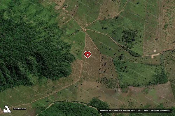 Imagem de satélite de Infração da Flora em São Félix do Xingu - PA (marcador da localização)