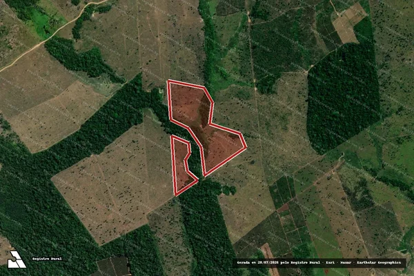 Imagem de satélite de Infração da Flora em Colniza - MT