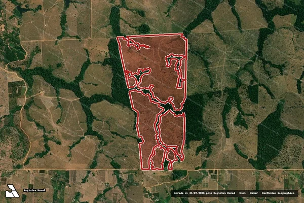 Imagem de satélite de Infração da Flora em Colniza - MT