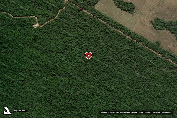 Imagem de satélite — Embargo IBAMA — Infração Ambiental - Alta Floresta/MT