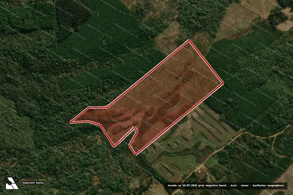 Imagem de satélite de Infração da Flora em Inácio Martins - PR