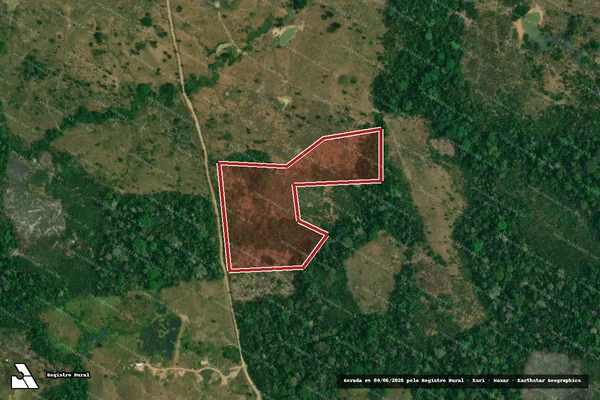 Imagem de satélite de Infração da Flora em Feijó - AC