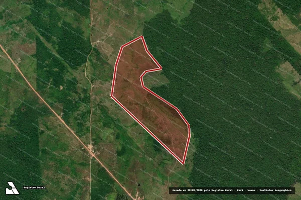 Imagem de satélite de Infração Ambiental em Anapu - PA