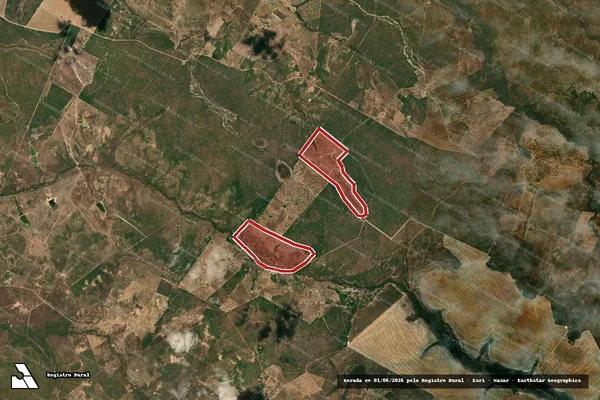 Imagem de satélite — Embargo IBAMA — Infração da Flora - Taguatinga/TO