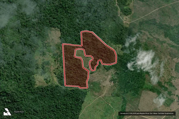 Imagem de satélite de Infração da Flora em Pacajá - PA