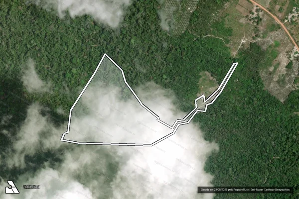 Imagem de satélite de Infração da Flora em Rorainópolis - RR