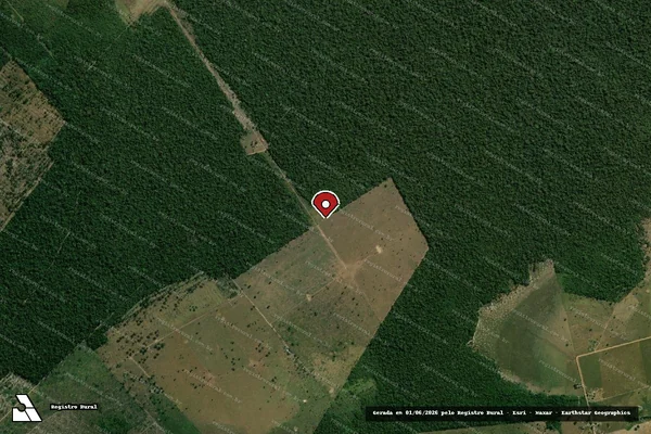 Imagem de satélite de Infração Ambiental em Costa Marques - RO (marcador da localização)