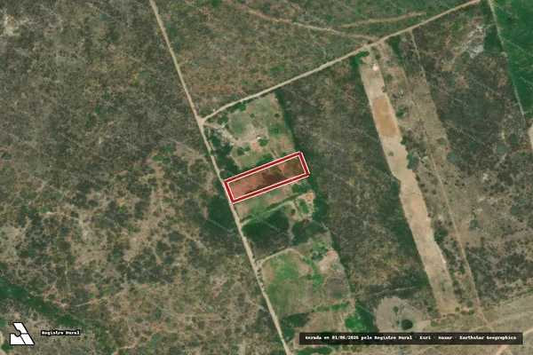 Imagem de satélite — Embargo IBAMA — Infração da Flora - Delmiro Gouveia/AL