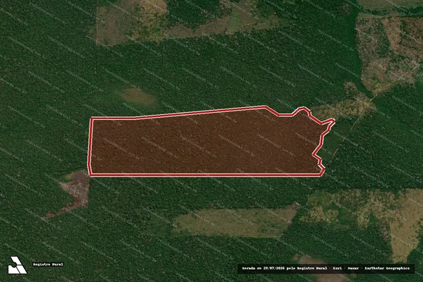 Imagem de satélite de Infração Ambiental em Novo Aripuanã - AM