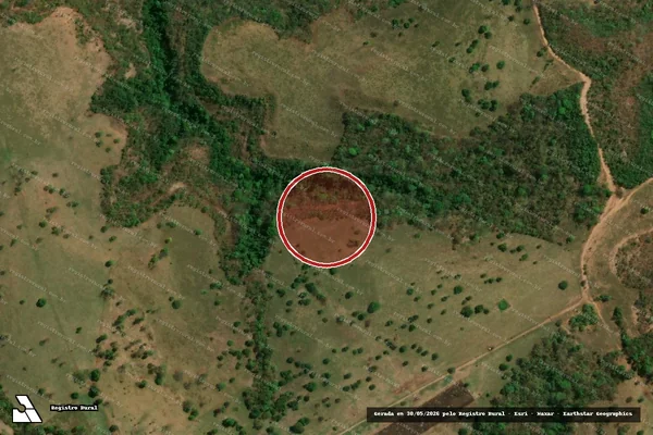 Imagem de satélite de Infração da Flora em Alto Garças - MT