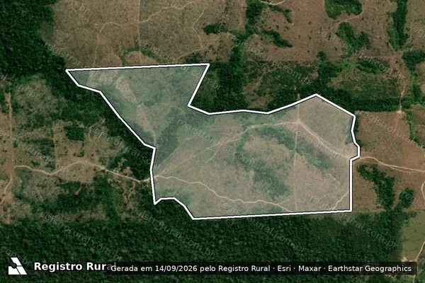 Imagem de satélite de Infração da Flora em Colniza - MT