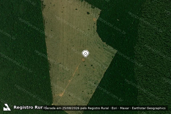 Imagem de satélite de Infração Ambiental em Marcelândia - MT (marcador da localização)