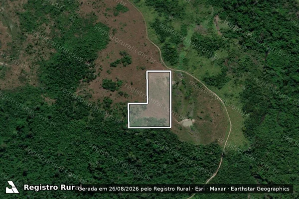 Imagem de satélite de Infração Ambiental em Altamira - PA